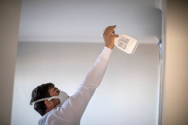 Best White Mold Remediation in Waldwick, NJ